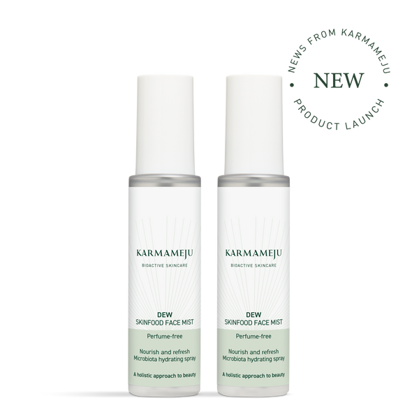 DEW skinfood face mist x2