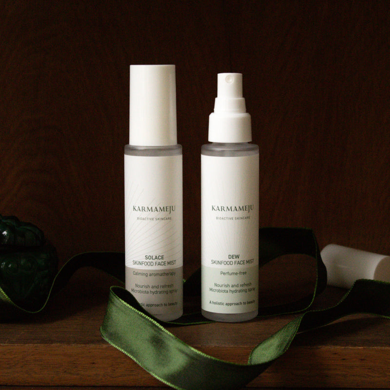 SOLACE Skinfood Gesichtsspray